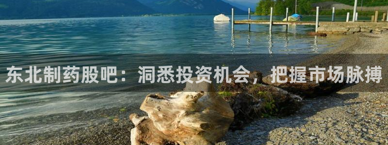 九游会老哥俱乐部：东北制药股吧：洞悉投资机会，把握市场脉搏