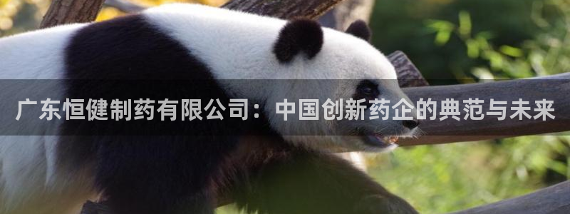 九游会老哥俱乐部官网：广东恒健制药有限公司：中国创新药企的典范与未来