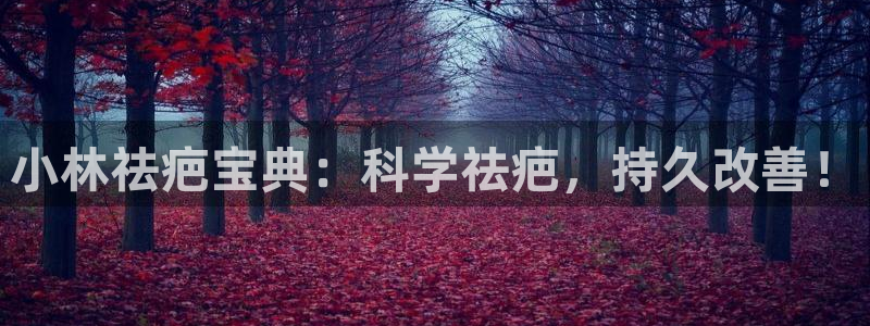 九游老哥俱乐部官网登录网址：小林祛疤宝典：科学祛疤，持久改善！