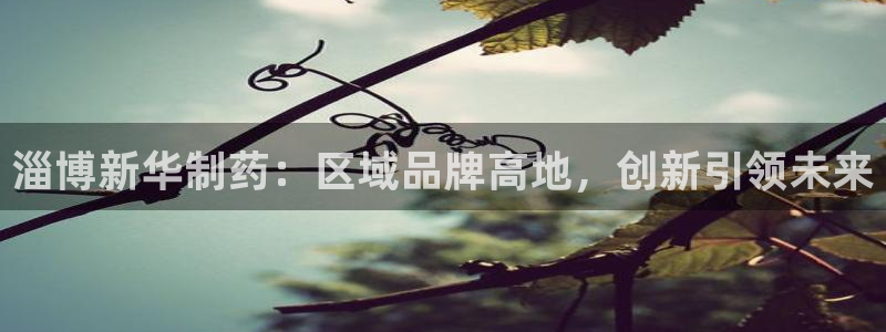 九游老哥俱乐部官网登录不了：淄博新华制药：区域品牌高地，创新引领未来