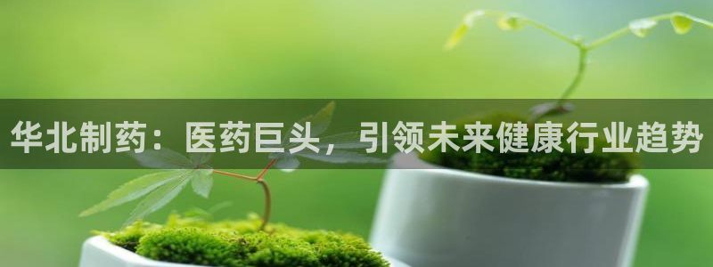 老哥吧九游会下架吗：华北制药：医药巨头，引领未来健康行业趋势
