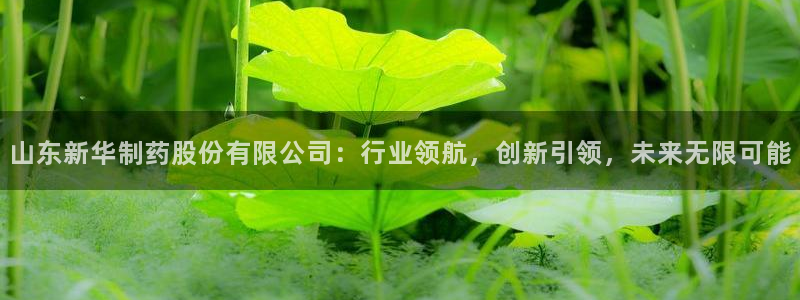 老哥俱乐部是干什么的啊：山东新华制药股份有限公司：行业领航，创新引领，未来无限可能