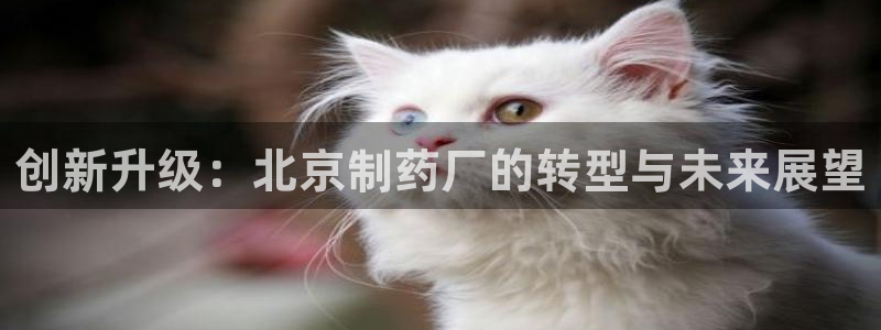 九游会老哥：创新升级：北京制药厂的转型与未来展望