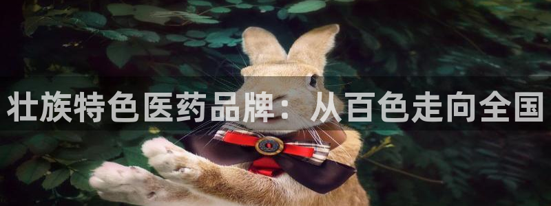 九游会老哥俱乐部必备的交流社区论坛：壮族特色医药品牌：从百色
