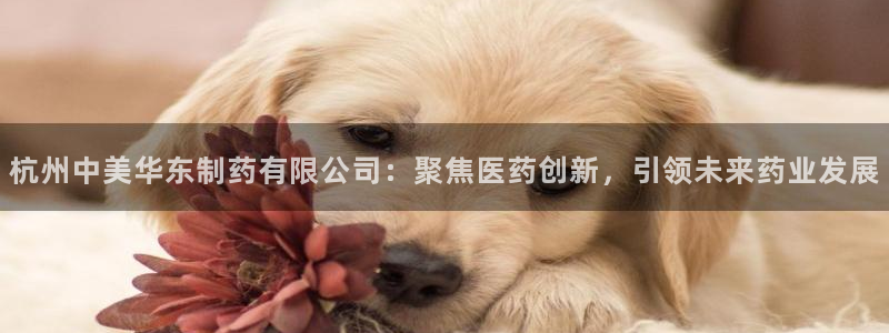 ag九游老哥俱乐部：杭州中美华东制药有限公司：聚焦医药创新，