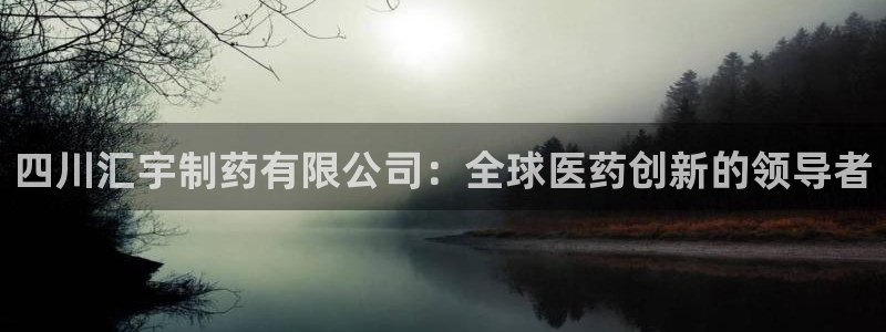 老哥俱乐部是干什么的：四川汇宇制药有限公司：全球医药创新的领导者