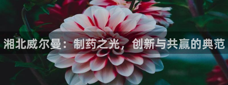 九游会老哥俱乐部：湘北威尔曼：制药之光，创新与共赢的典范