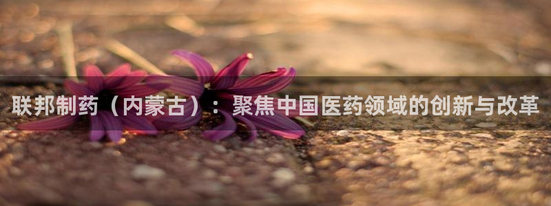九游会老哥俱乐部交流社区：联邦制药（内蒙古）：聚焦中国医药领域的创新与改革