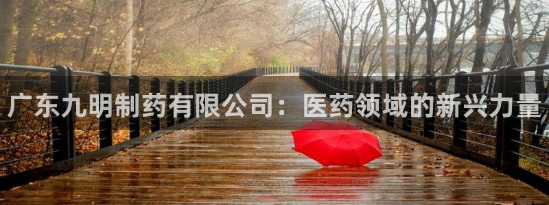 9游会老哥：广东九明制药有限公司：医药领域的新兴力量