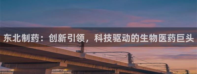 九游会老哥俱乐部官网首页：东北制药：创新引领，科技驱动的生物医药巨头