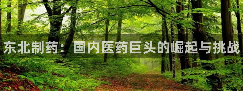 九游老哥俱乐部登录：东北制药：国内医药巨头的崛起与挑战
