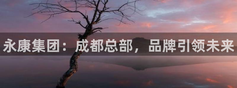 九游会老哥必备的交流社区：永康集团：成都总部，品牌引领未来