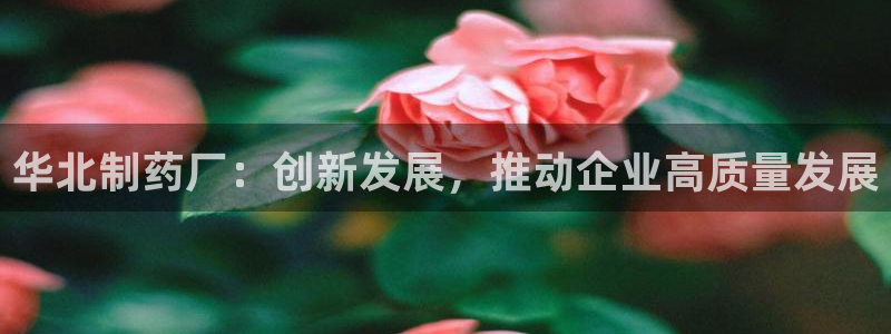 九游会老哥俱乐部官网首页：华北制药厂：创新发展，推动企业高质