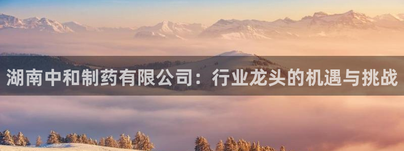 usdt九游会老哥俱乐部：湖南中和制药有限公司：行业龙头的机遇与挑战