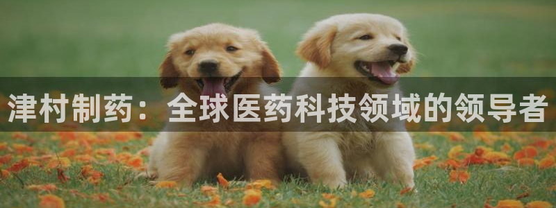 ag九游会老哥俱乐部：津村制药：全球医药科技领域的领导者