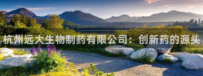 九游老哥俱乐部登录：杭州远大生物制药有限公司：创新药的源头