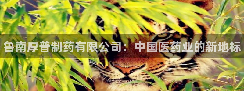 9游会老哥：鲁南厚普制药有限公司：中国医药业的新地标
