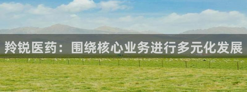 九游会老哥必备的交流社区九：羚锐医药：围绕核心业务进行多元化发展