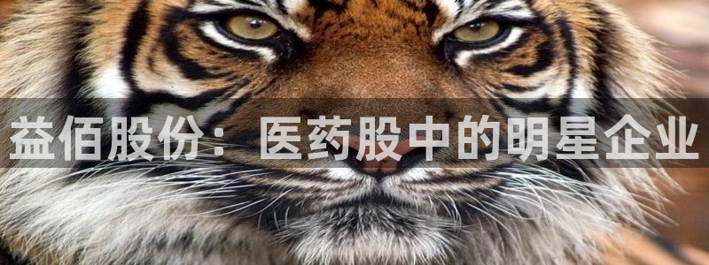 九游会老哥俱乐部官网：益佰股份：医药股中的明星企业