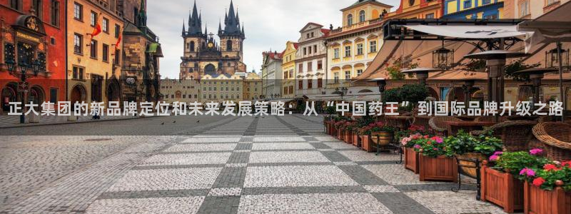 九游会老哥俱乐部：正大集团的新品牌定位和未来发展策略：从“中国药王”到国际品牌升级之路
