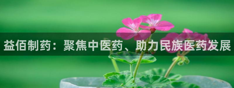 老哥俱乐部是干什么的啊：益佰制药：聚焦中医药、助力民族医药发展