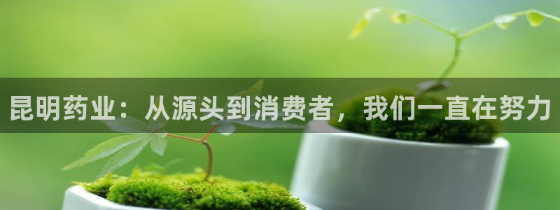 9游会老哥：昆明药业：从源头到消费者，我们一直在努力