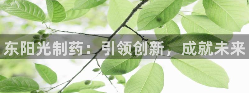 老哥俱乐部是干什么的：东阳光制药：引领创新，成就未来