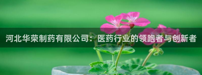 9游会老哥：河北华荣制药有限公司：医药行业的领跑者与创新者
