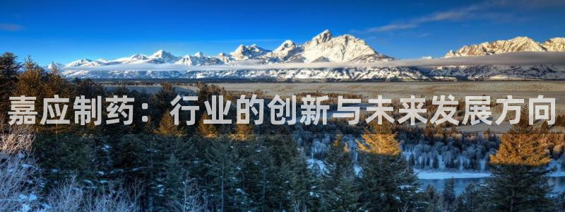ag九游会老哥：嘉应制药：行业的创新与未来发展方向