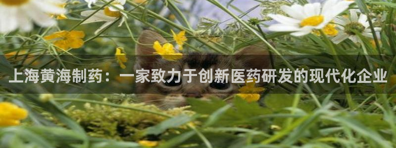 老哥吧九游会下架吗：上海黄海制药：一家致力于创新医药研发的现代化企业