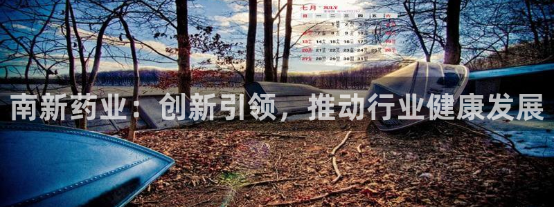 九游老哥俱乐部官网登录入口：南新药业：创新引领，推动行业健康发展