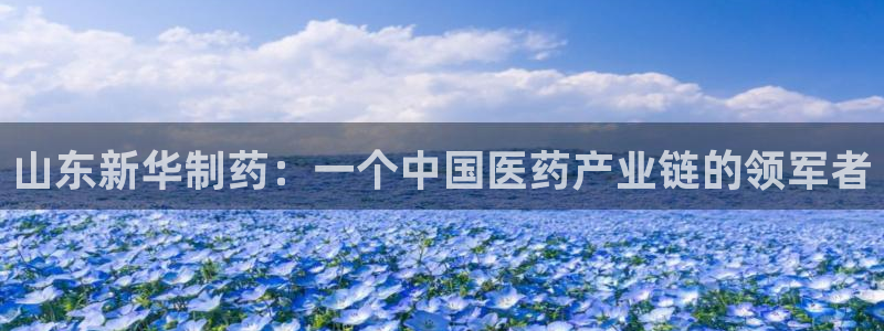九游老哥俱乐部官网登录不了：山东新华制药：一个中国医药产业链的领军者