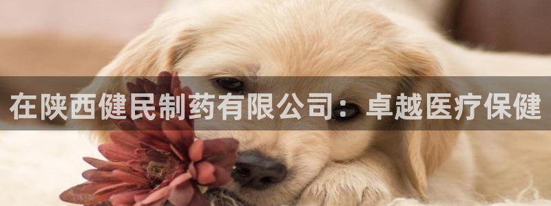 九游会老哥：在陕西健民制药有限公司：卓越医疗保健