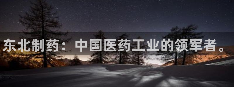 ag九游会老哥：东北制药：中国医药工业的领军者。