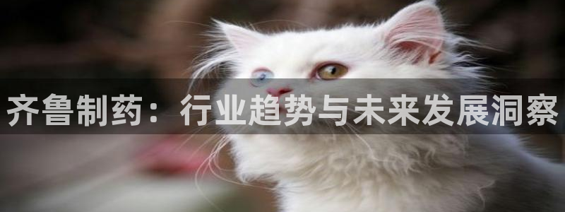 ag九游老哥俱乐部：齐鲁制药：行业趋势与未来发展洞察