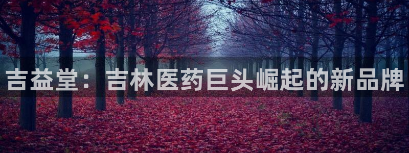 九游会老哥俱乐部必备的交流社区：吉益堂：吉林医药巨头崛起的新品牌