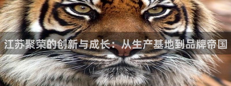 九游会老哥俱乐部官网首页：江苏聚荣的创新与成长：从生产基地到品牌帝国