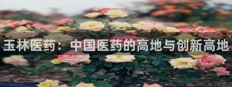 九游会老哥俱乐部交流社区：玉林医药：中国医药的高地与创新高地